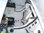 pics. 291.jpg