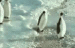 pen.gif